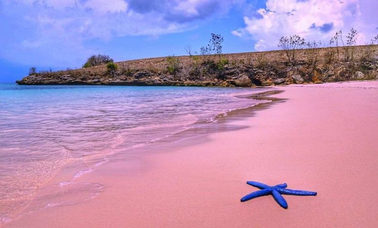 Paket Tour Lombok Bersama Pesona Rinjani